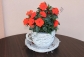 Thumb_C-fakepath-Os-onka-na-doniczk-RATTAN-Fili-anka-k