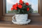 Thumb_Os-onka-wyplatana-na-doniczk-RATTAN-Fili-anka-k